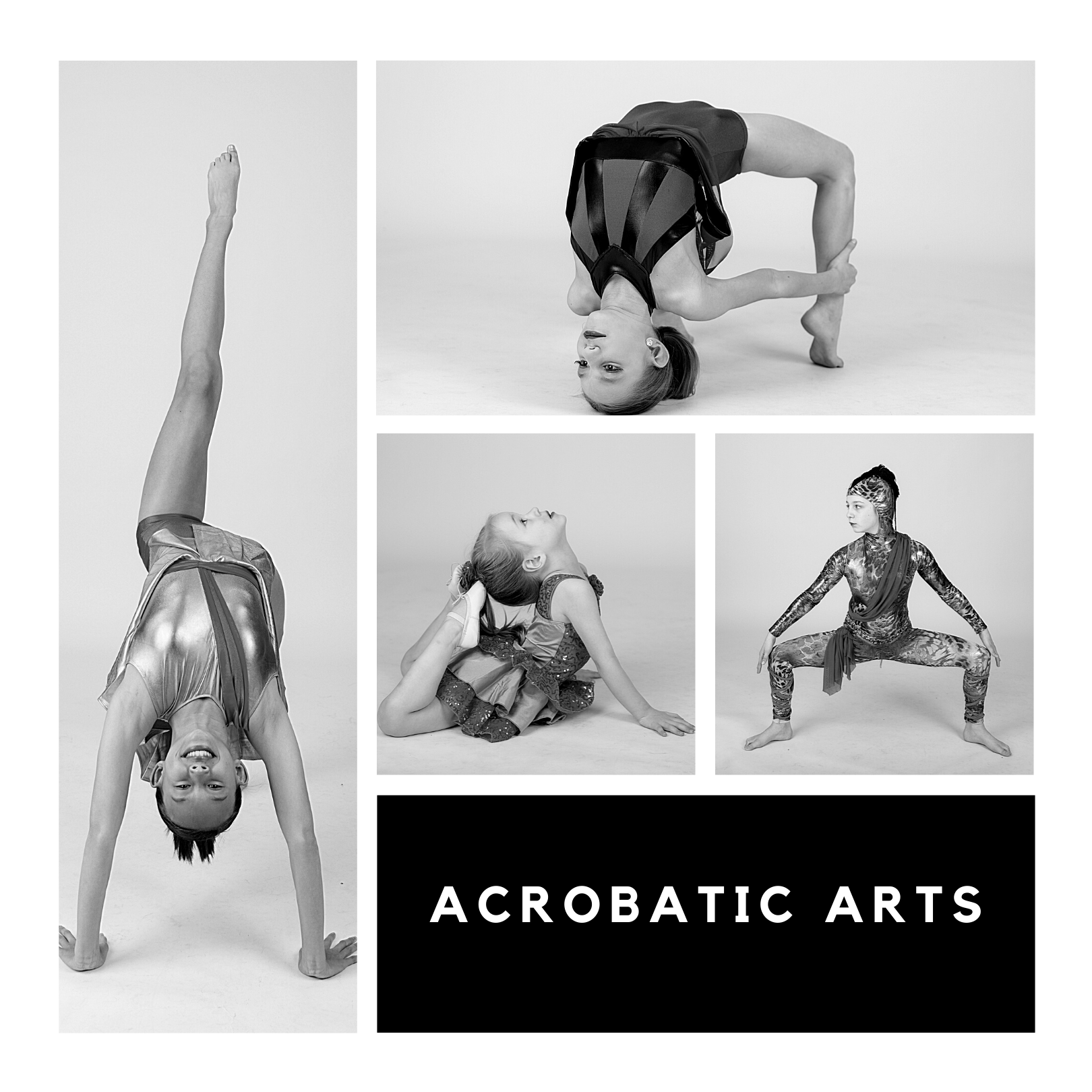 specialty - photo 1 - Acrobatics